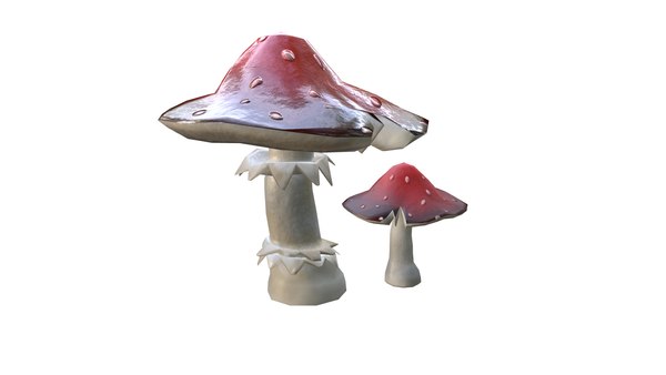 3d Toadstool Mushroom Model Turbosquid 1927173 1384