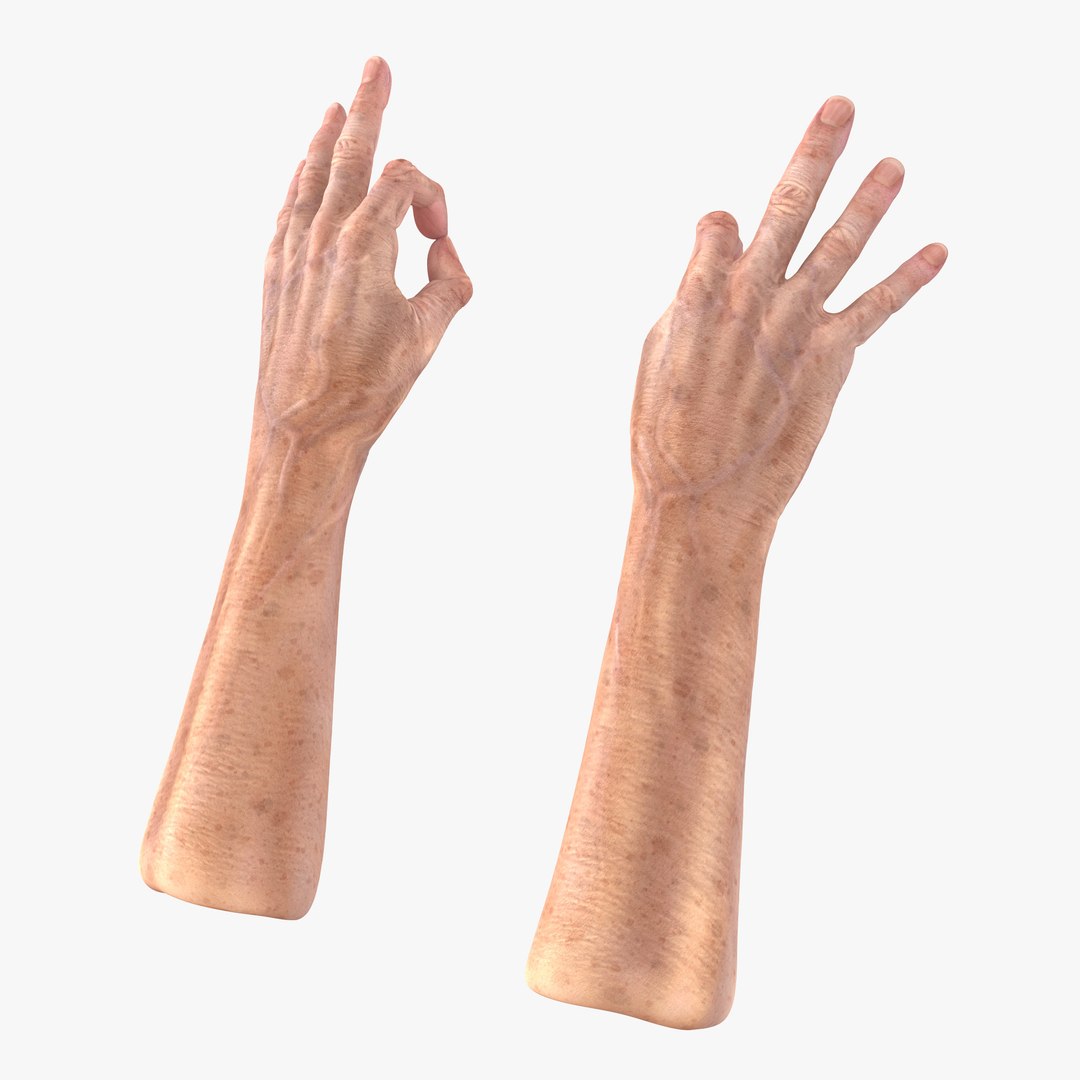 Old Man Hands 3 Pose 5 3D Model 3D model preview