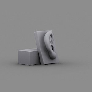ear 3d model