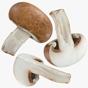 3D model Mushroom Swiss Brown Set