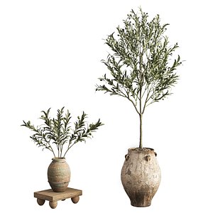 3D Olive Tree Concrete Pot