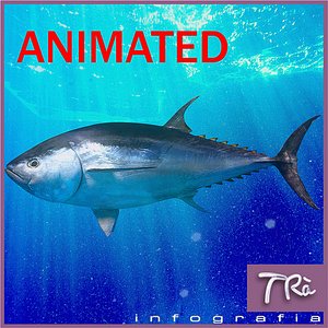 bluefin tuna 3d max