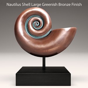 shell nautilus