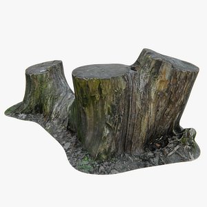 old stumps model