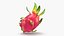 Fruit du dragon entier couleur 2