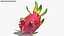 Fruit du dragon entier couleur 2