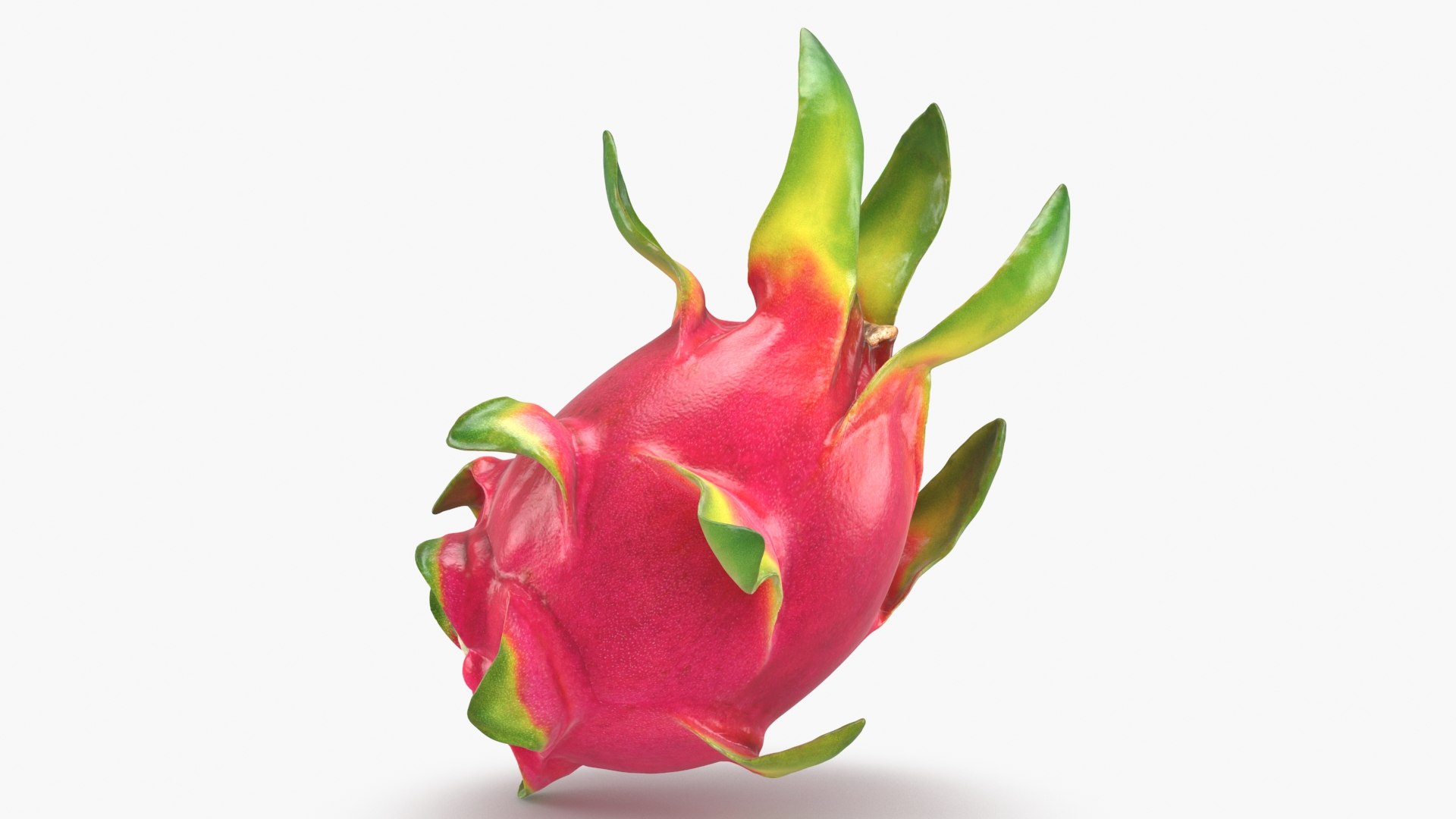 Whole Dragon Fruit Color 2 3D model https://p.turbosquid.com/ts-thumb/Qz/YfGDxZ/8v/dragonfruitwhole_b0011/jpg/1688367772/1920x1080/fit_q87/81817b8374aaec3f3132bc34572adba30f6fd8b8/dragonfruitwhole_b0011.jpg