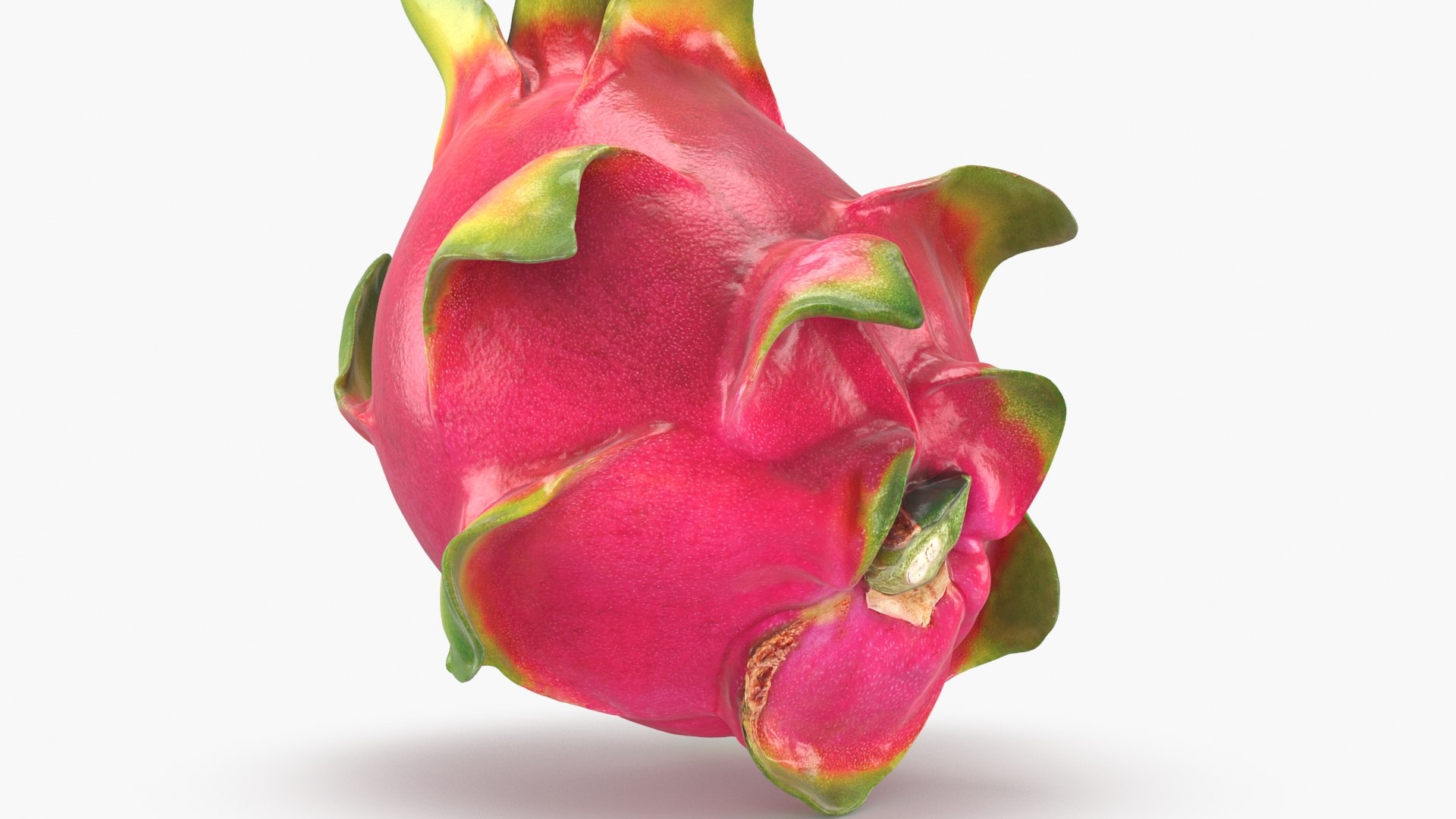 Whole Dragon Fruit Color 2 3D model https://p.turbosquid.com/ts-thumb/Qz/YfGDxZ/Ca/dragonfruitwhole_b0012/jpg/1688367776/1920x1080/fit_q87/001d22ff13eef4340a8651011a58b9b43ae938fa/dragonfruitwhole_b0012.jpg