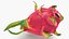 Fruit du dragon entier couleur 2