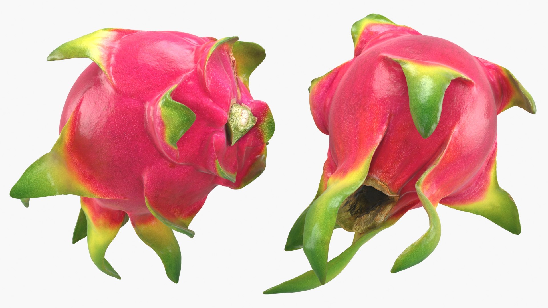 Whole Dragon Fruit Color 2 3D model https://p.turbosquid.com/ts-thumb/Qz/YfGDxZ/VQ/dragonfruitwhole_a0003/jpg/1688367768/1920x1080/fit_q87/27050c43cfab97057d5a14a617b53a772dc414c4/dragonfruitwhole_a0003.jpg