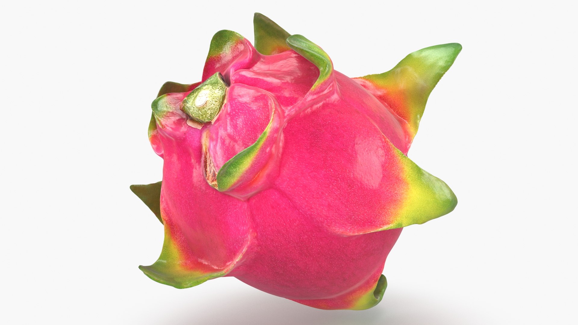 Whole Dragon Fruit Color 2 3D model https://p.turbosquid.com/ts-thumb/Qz/YfGDxZ/iQ/dragonfruitwhole_b0024/jpg/1688367786/1920x1080/fit_q87/9d6cbadffed56fbdde7ed5395ae4f256acc265b5/dragonfruitwhole_b0024.jpg