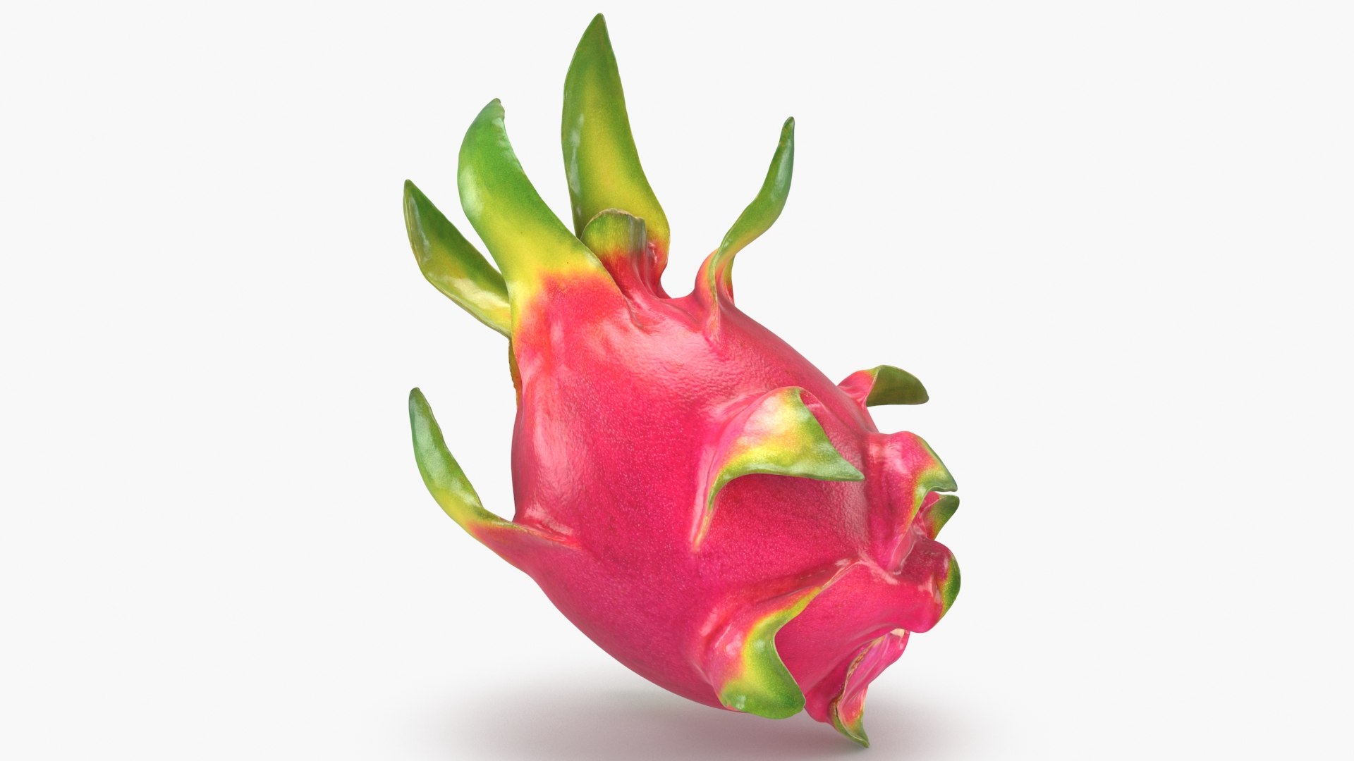Whole Dragon Fruit Color 2 3D model https://p.turbosquid.com/ts-thumb/Qz/YfGDxZ/xv/dragonfruitwhole_b0008/jpg/1688367772/1920x1080/fit_q87/f52916368f53b94b664439e31bad210c33c584f8/dragonfruitwhole_b0008.jpg