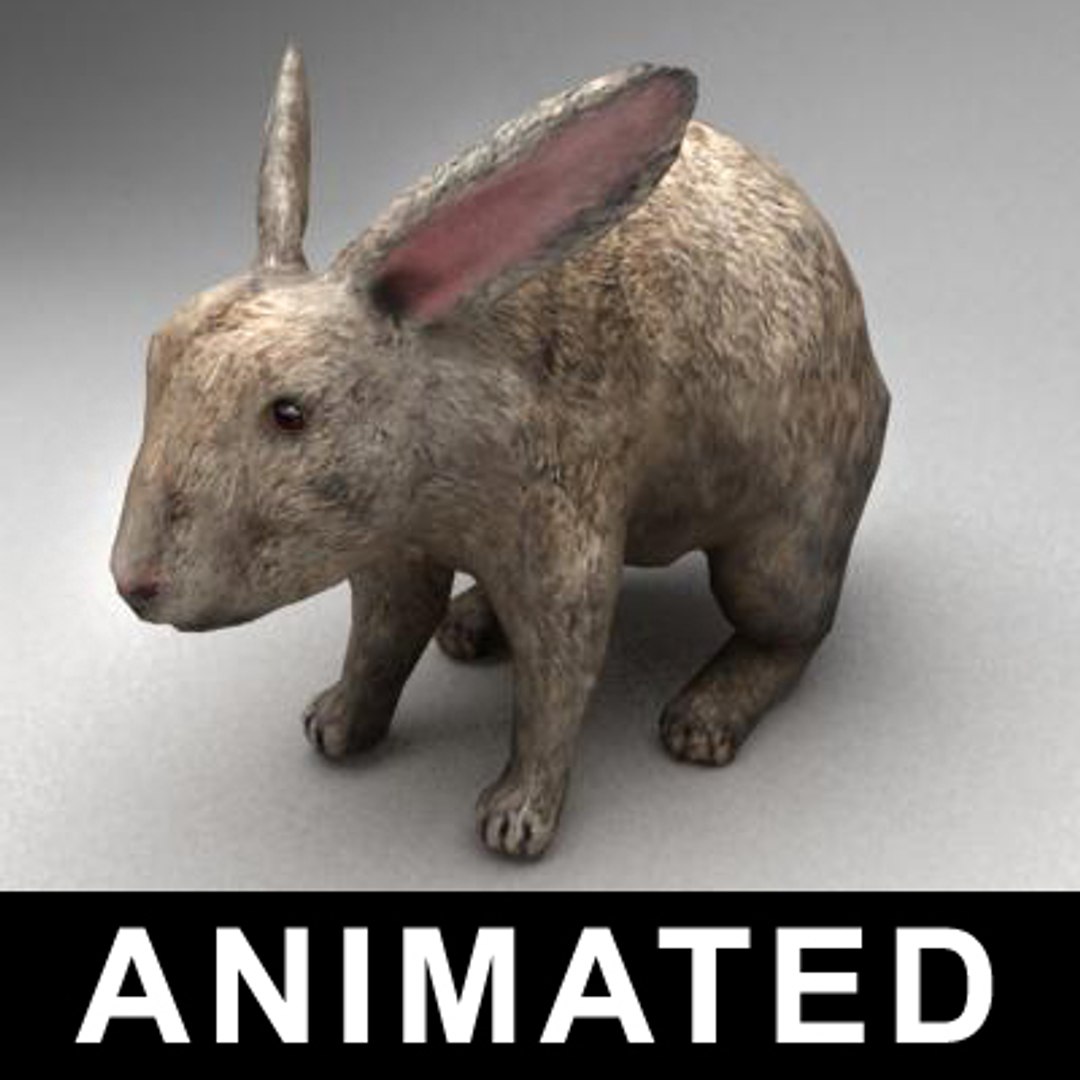 3ds Max Rigged Rabbit Animation