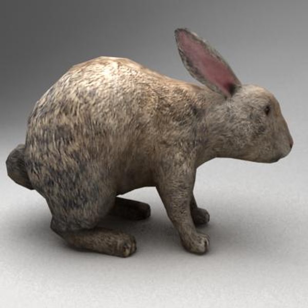 3ds max rigged rabbit animation