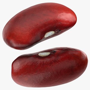Red Kidney Bean Collection 3D