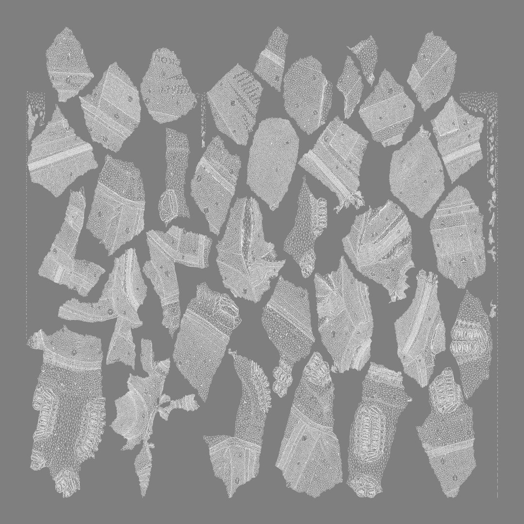 Milwaukee Packout Bag 3D model https://p.turbosquid.com/ts-thumb/Qz/uxjDOA/UJ/uv/png/1723430606/1920x1080/fit_q87/dcbfdad0221a98e26a6cbbf98afba981d0327f84/uv.jpg
