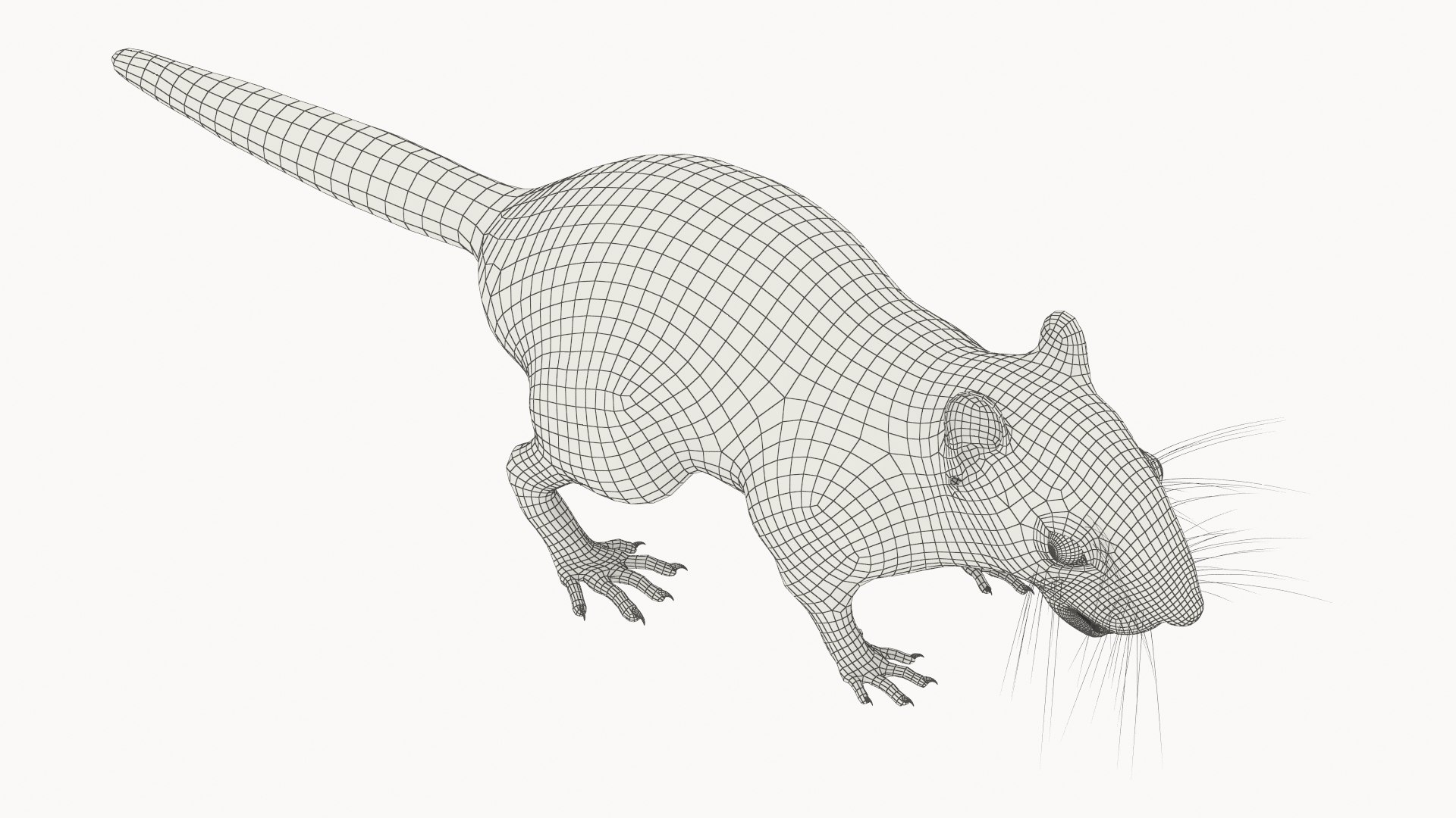 Forest Ground Squirrel Fur Rigged 3D model https://p.turbosquid.com/ts-thumb/R0/7HMyTv/Or/forest_ground_squirrel_fur_rigged_015/jpg/1755206051/1920x1080/fit_q87/12147525f524afd40de9d3d082d2563206877e19/forest_ground_squirrel_fur_rigged_015.jpg