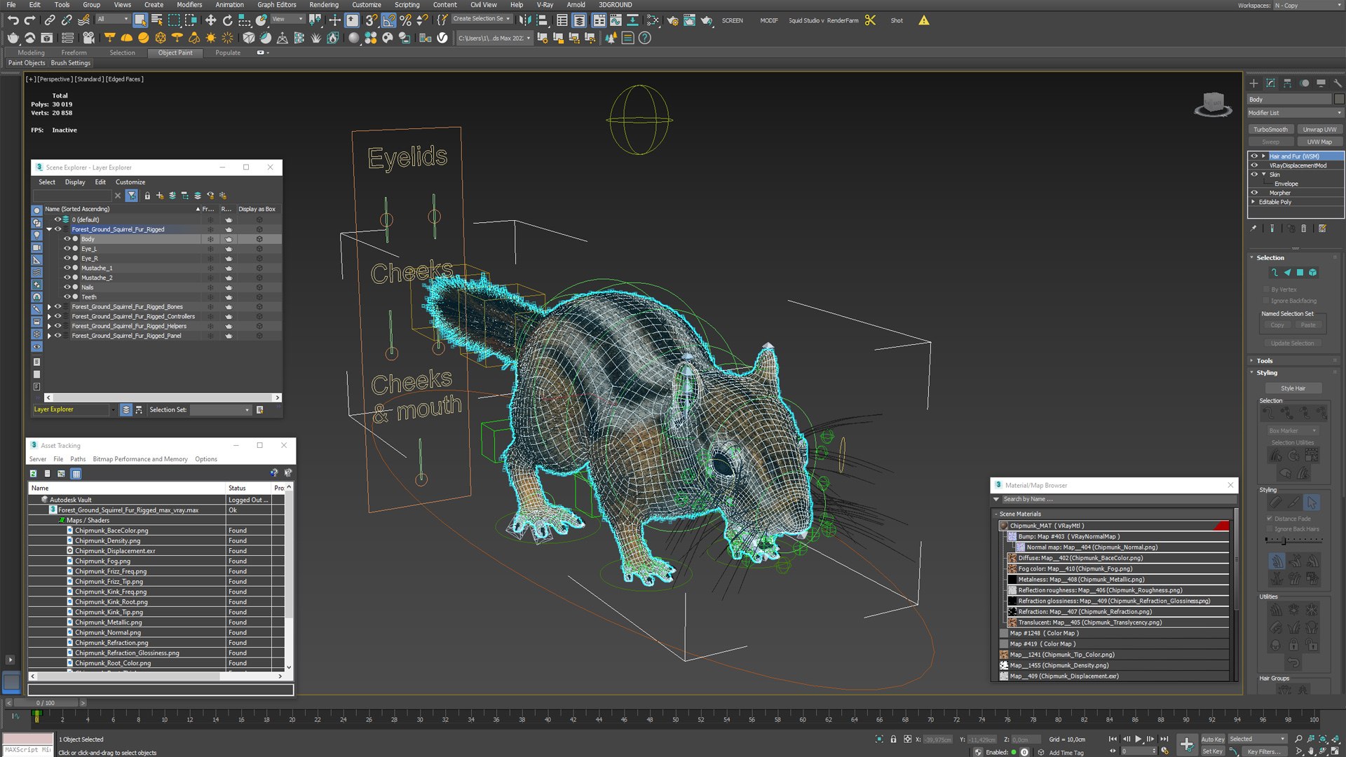 Forest Ground Squirrel Fur Rigged 3D model https://p.turbosquid.com/ts-thumb/R0/7HMyTv/qE/forest_ground_squirrel_fur_rigged_018/jpg/1755206060/1920x1080/fit_q87/890f1b11c83232063714fc17e97c867994d19c31/forest_ground_squirrel_fur_rigged_018.jpg