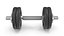 Dumbbell