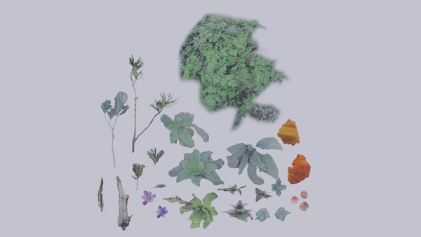 25 types of plants forest details 3D