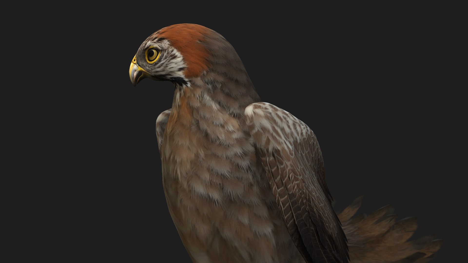 3D Kestrel-B2 - TurboSquid 2429459