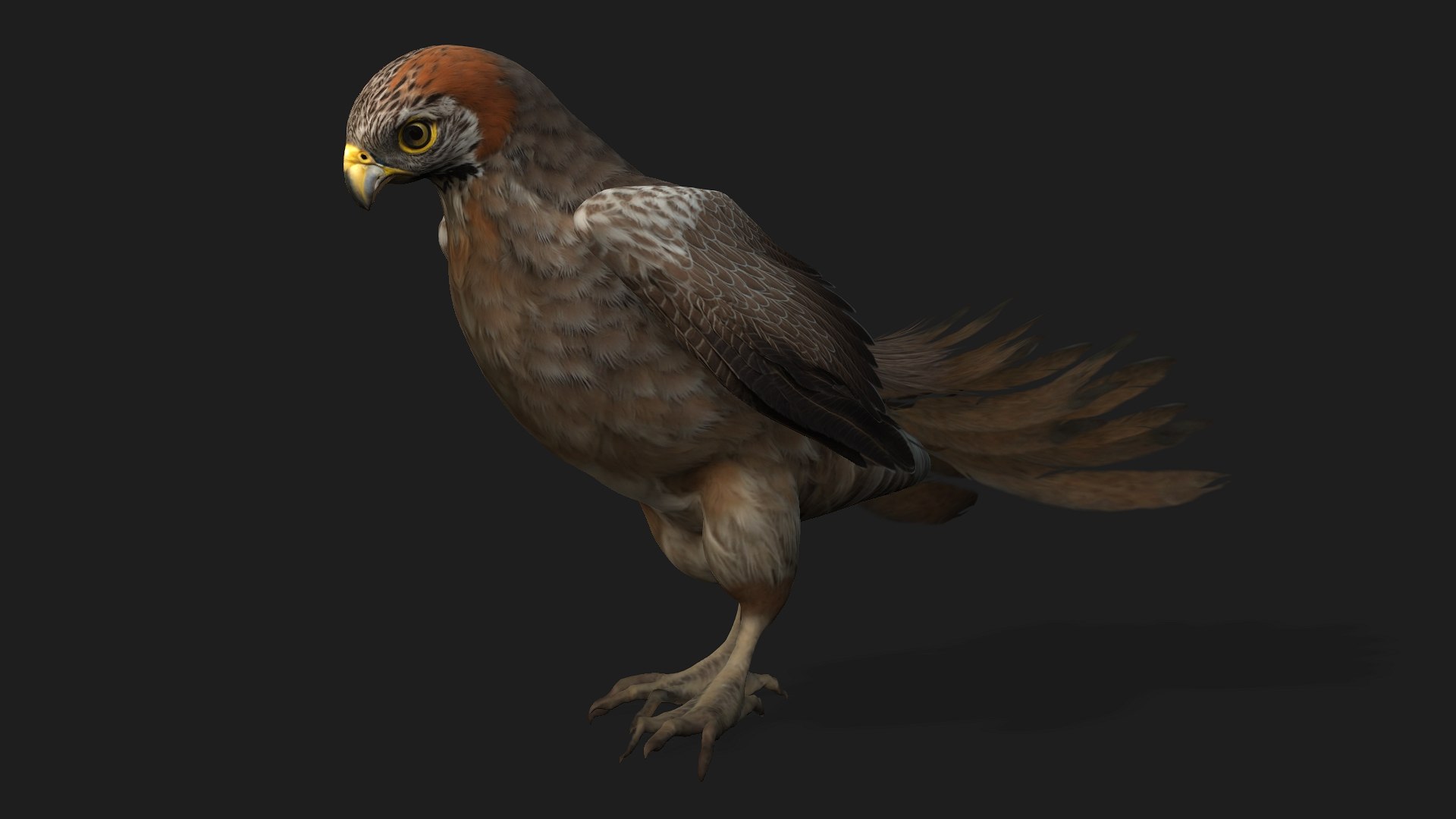 3D Kestrel-B2 - TurboSquid 2429459