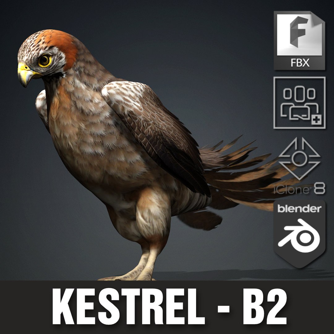 3D Kestrel-B2 - TurboSquid 2429459