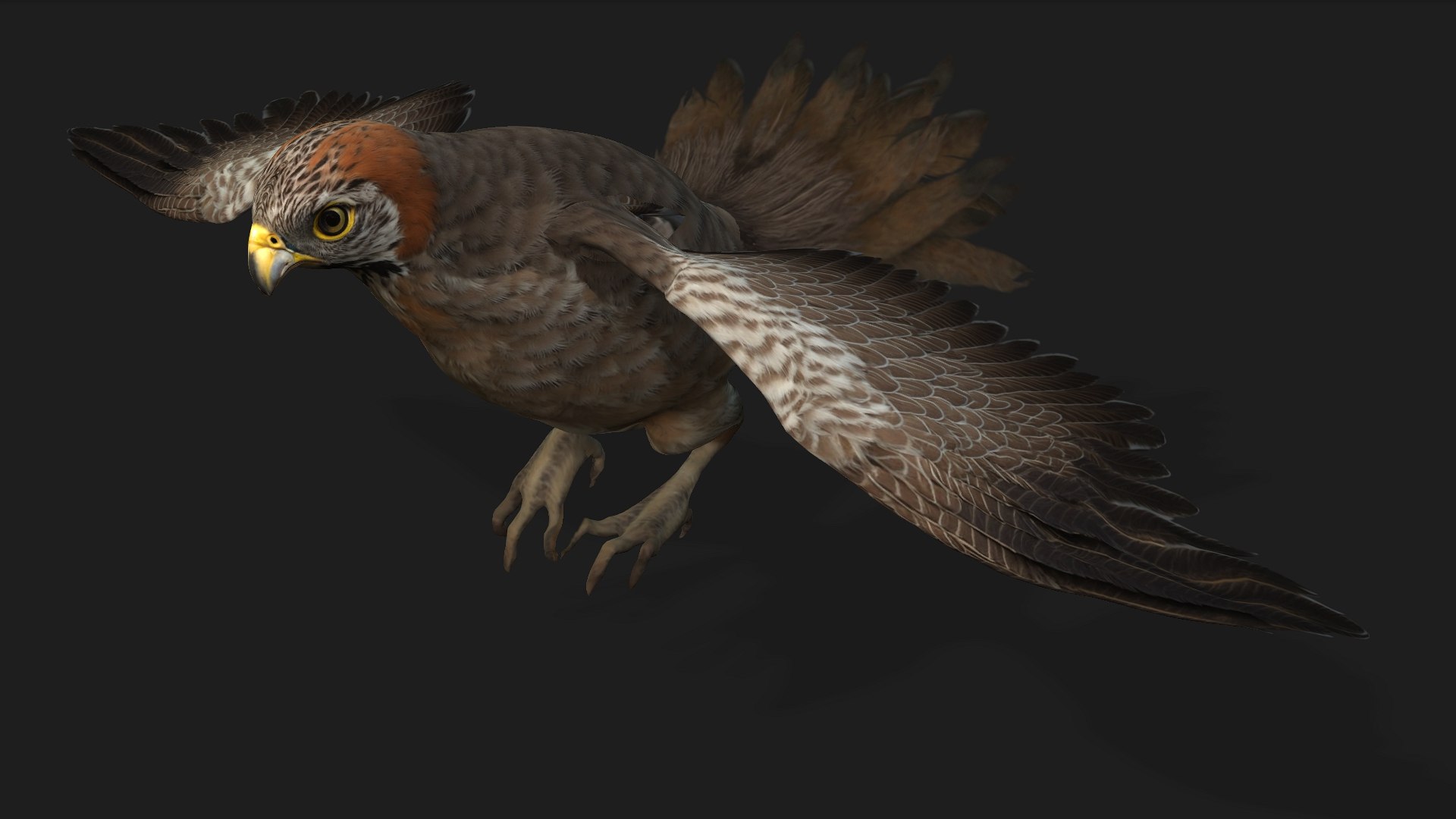 3D Kestrel-B2 - TurboSquid 2429459