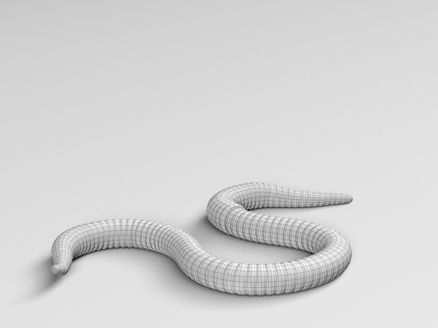 Worm Red Model - TurboSquid 1326152