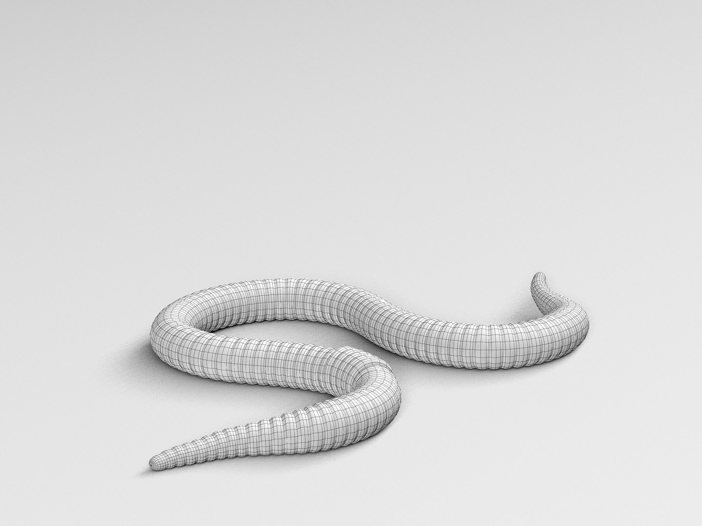 Worm Red Model - TurboSquid 1326152