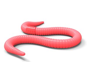 worm red model