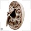 Kidney Cross Section Printable