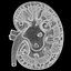 Kidney Cross Section Printable