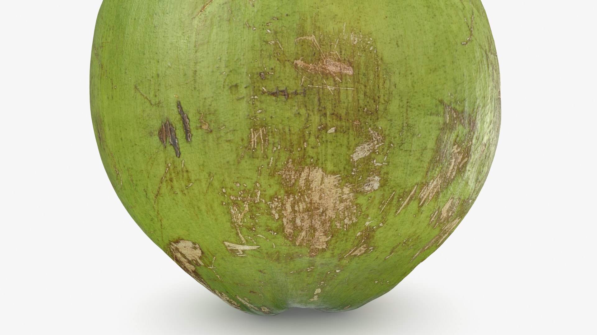 3D Green Coconut 01 https://p.turbosquid.com/ts-thumb/R0/yE8i4a/3A/greencoconut1_b0012/jpg/1732184037/1920x1080/fit_q87/31402870bf3fe11e860d528056a973f285f3959b/greencoconut1_b0012.jpg