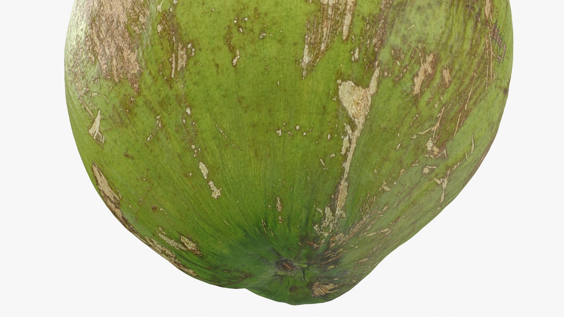 3D Green Coconut 01 https://p.turbosquid.com/ts-thumb/R0/yE8i4a/47/greencoconut1_b0018/jpg/1732184041/1920x1080/fit_q87/8de5c75e07f9701a7f07f81af7ac3de2fc91ad7e/greencoconut1_b0018.jpg