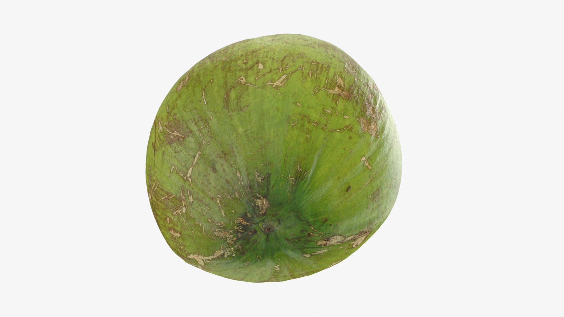 3D Green Coconut 01 https://p.turbosquid.com/ts-thumb/R0/yE8i4a/4a/greencoconut1_b0022/jpg/1732184040/1920x1080/fit_q87/e7c4509fffa3d38ce991c0189ed417044a0debdf/greencoconut1_b0022.jpg