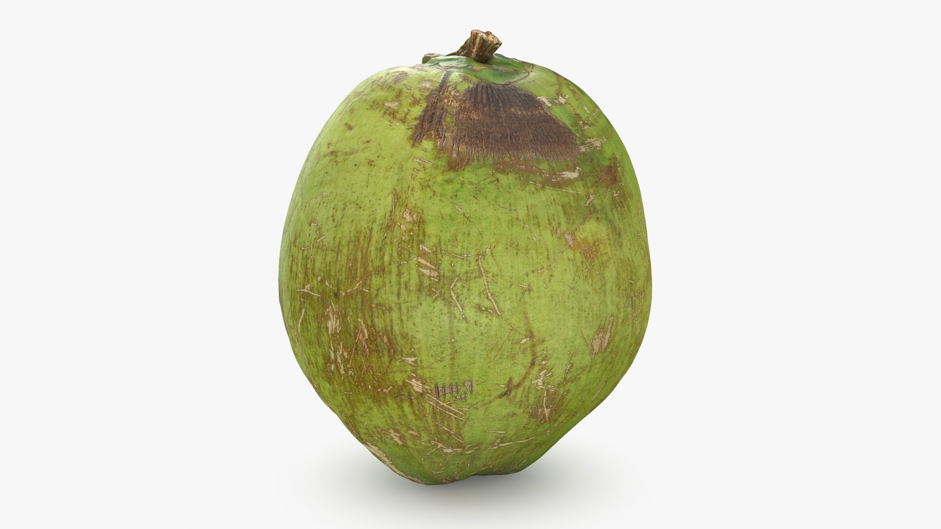 3D Green Coconut 01 https://p.turbosquid.com/ts-thumb/R0/yE8i4a/G8/greencoconut1_b0006/jpg/1732184034/1920x1080/fit_q87/e3f165b755c7be3c36ae43545f6c40490a1a13d0/greencoconut1_b0006.jpg