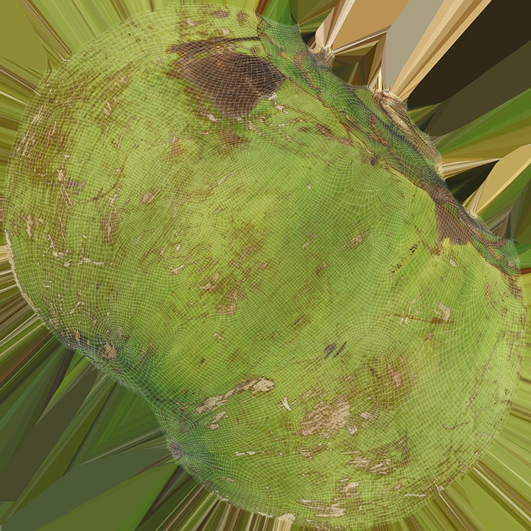 3D Green Coconut 01 https://p.turbosquid.com/ts-thumb/R0/yE8i4a/KD/greencoconut1_d0004/jpg/1732184043/1920x1080/fit_q87/91bfd3919f3ac6c5ef0be52fd5762637482e8d28/greencoconut1_d0004.jpg