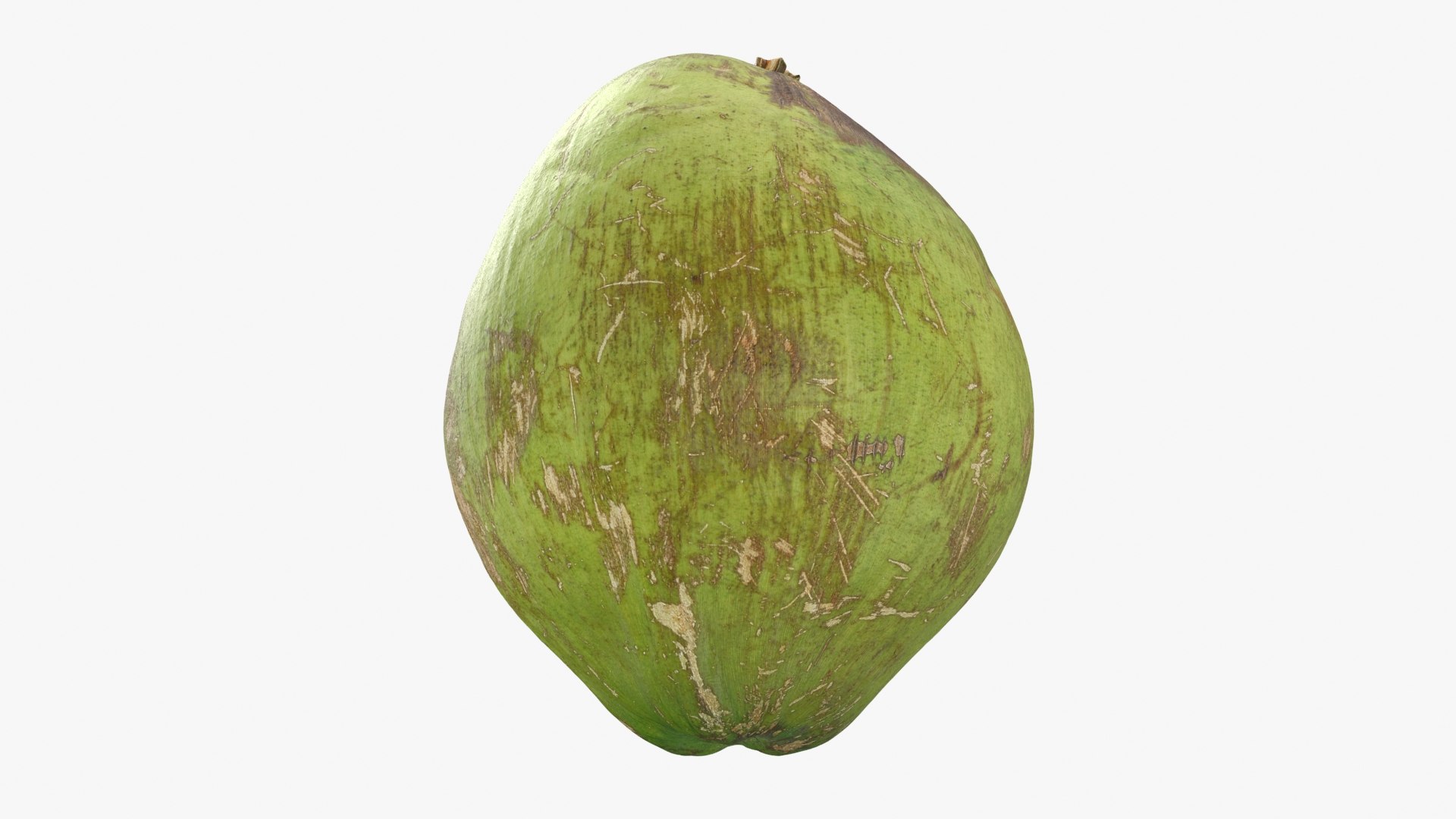 3D Green Coconut 01 https://p.turbosquid.com/ts-thumb/R0/yE8i4a/M6/greencoconut1_b0024/jpg/1732184043/1920x1080/fit_q87/ef7f71112377c09c69cc66e3a4ce2e5b1c6fc5fb/greencoconut1_b0024.jpg