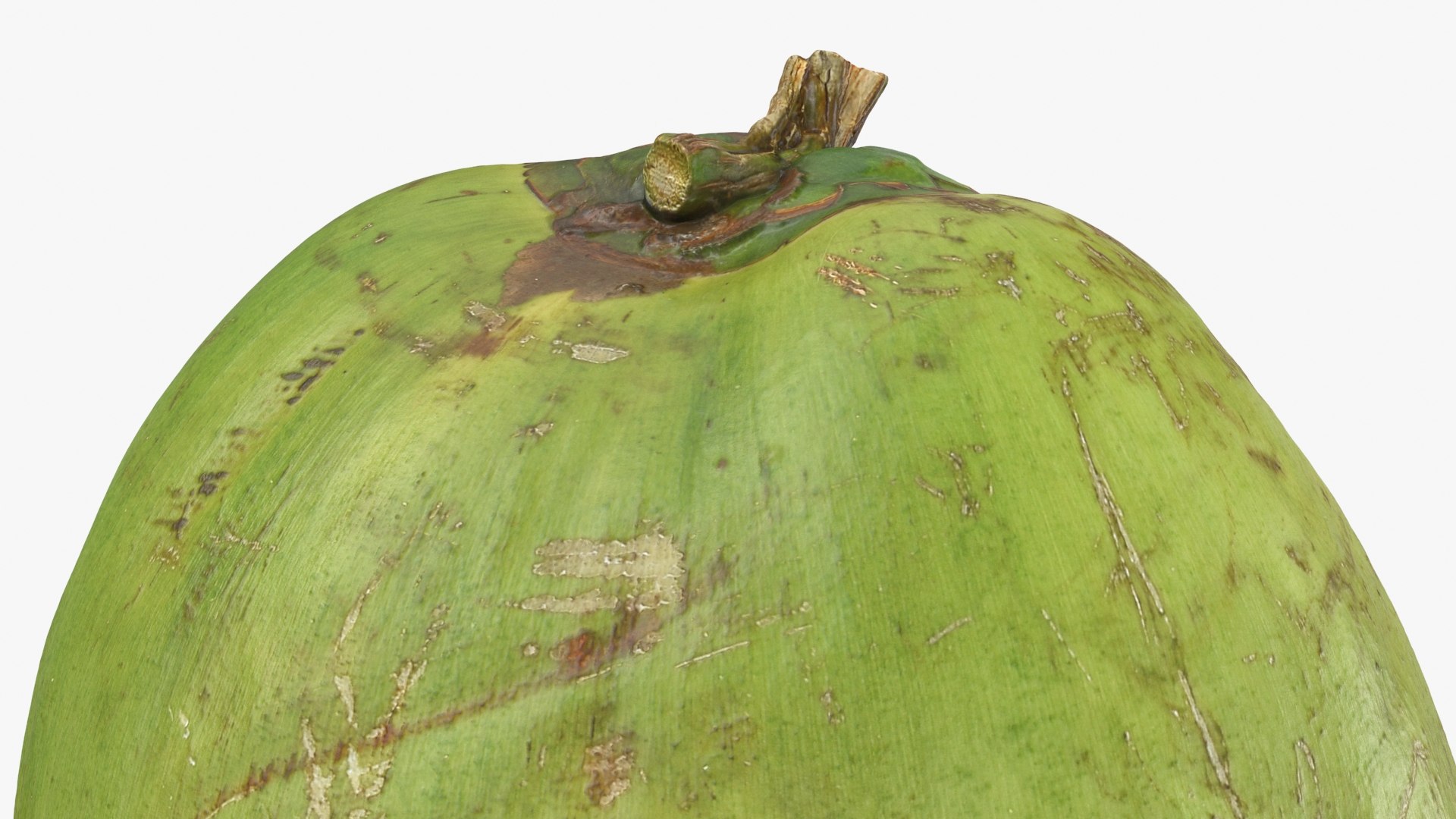 3D Green Coconut 01 https://p.turbosquid.com/ts-thumb/R0/yE8i4a/ZE/greencoconut1_b0010/jpg/1732184037/1920x1080/fit_q87/ef25e83f11648faba71310be6e3068675cadac12/greencoconut1_b0010.jpg