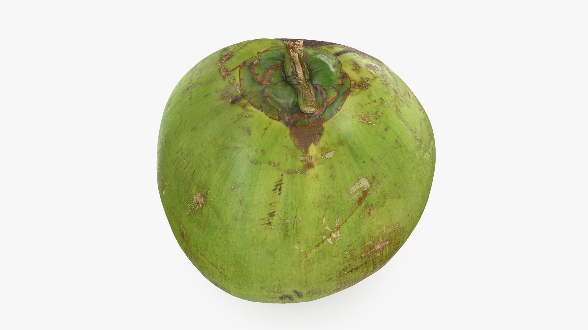 3D Green Coconut 01 https://p.turbosquid.com/ts-thumb/R0/yE8i4a/ck/greencoconut1_b0014/jpg/1732184038/1920x1080/fit_q87/8b1a7031119b8d20b20f37fedfd8bb66e29516f3/greencoconut1_b0014.jpg