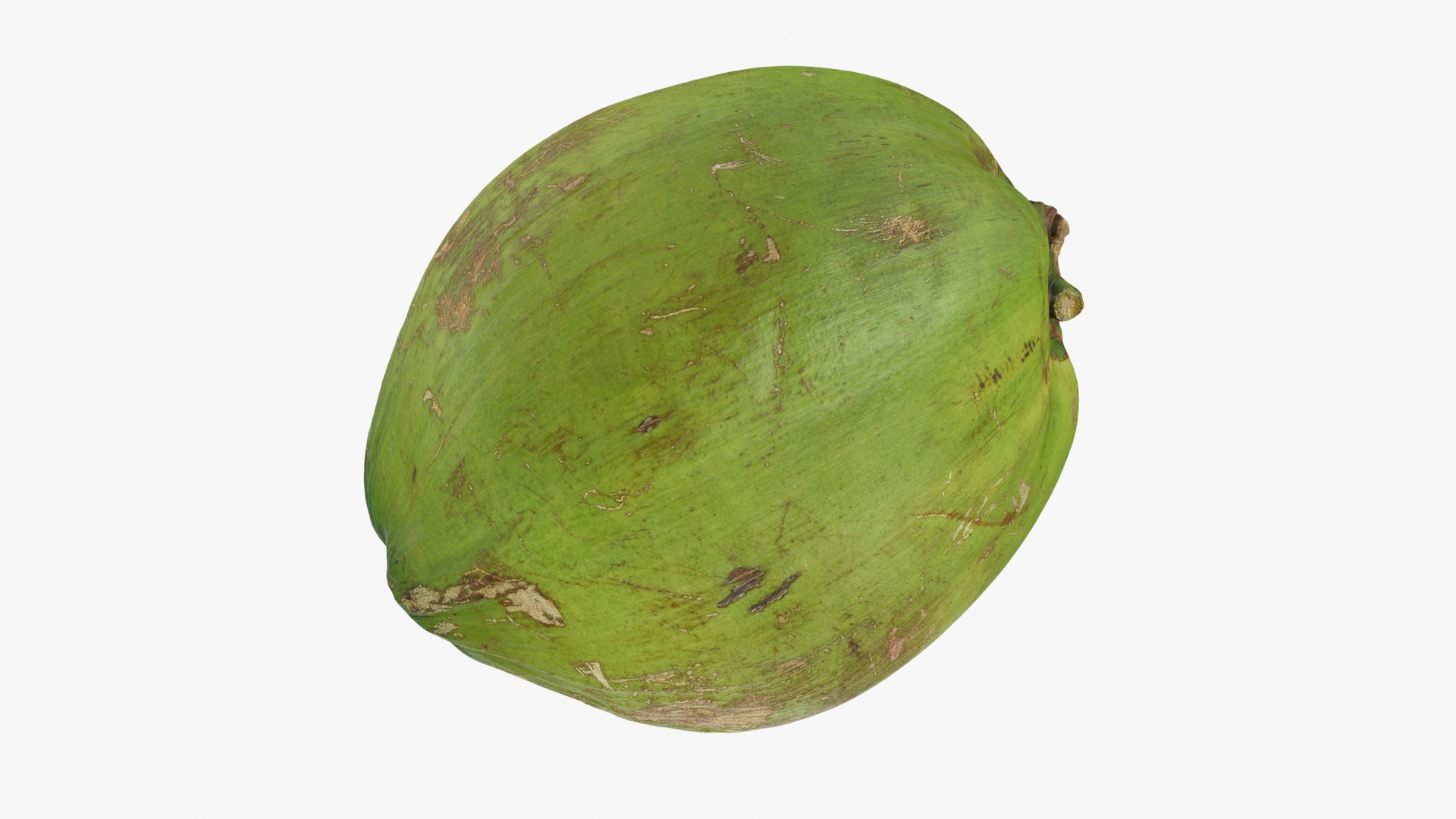 3D Green Coconut 01 https://p.turbosquid.com/ts-thumb/R0/yE8i4a/eD/greencoconut1/jpg/1732183869/1920x1080/turn_fit_q99/e07f3b2179c22f3a0b5dd2c4b8a33c42ee95ef41/greencoconut1-1.jpg