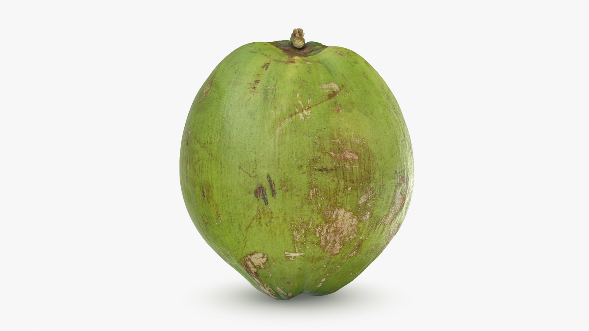 3D Green Coconut 01 https://p.turbosquid.com/ts-thumb/R0/yE8i4a/ep/greencoconut1_b0008/jpg/1732184035/1920x1080/fit_q87/840ca47578e36e5876df8ce2849133296b36c816/greencoconut1_b0008.jpg