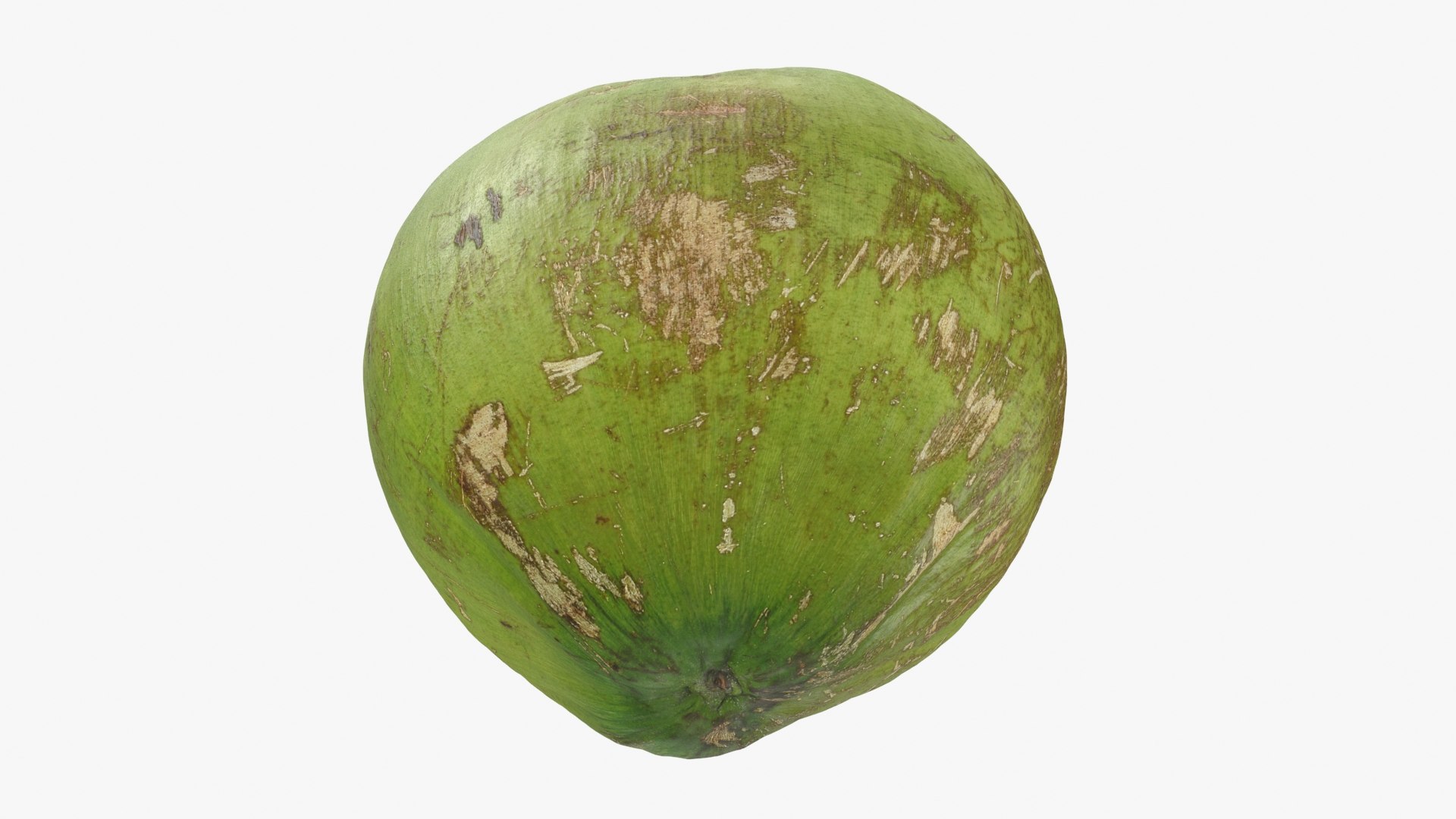 3D Green Coconut 01 https://p.turbosquid.com/ts-thumb/R0/yE8i4a/od/greencoconut1_b0020/jpg/1732184040/1920x1080/fit_q87/6ab0d4d2d4da002bfdb0e72311dd7a4ae80dad85/greencoconut1_b0020.jpg