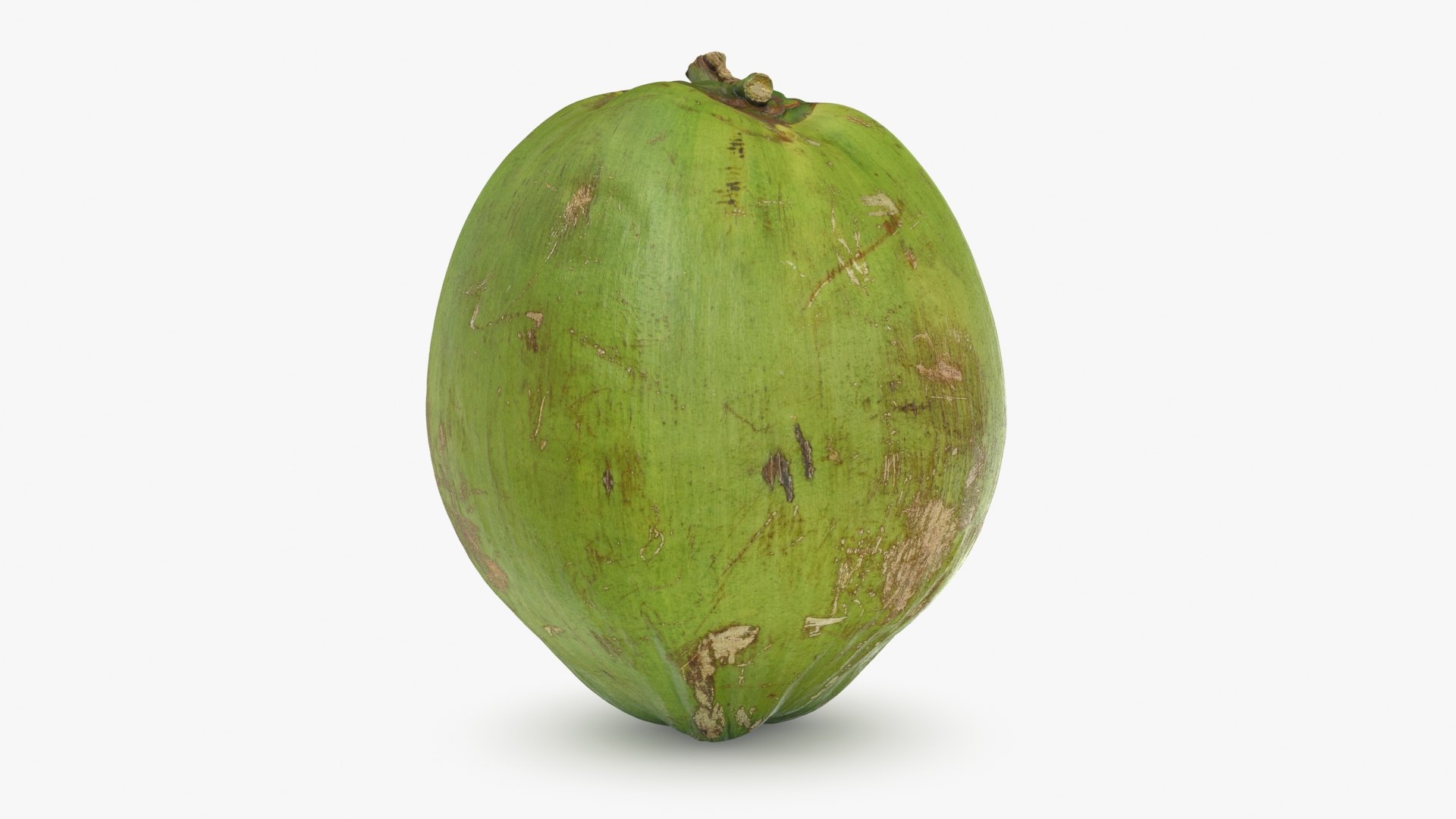 3D Green Coconut 01 https://p.turbosquid.com/ts-thumb/R0/yE8i4a/sF/greencoconut1_b0004/jpg/1732184034/1920x1080/fit_q87/e21347eb724c36b747ffe97e861c789fe5bd28cd/greencoconut1_b0004.jpg