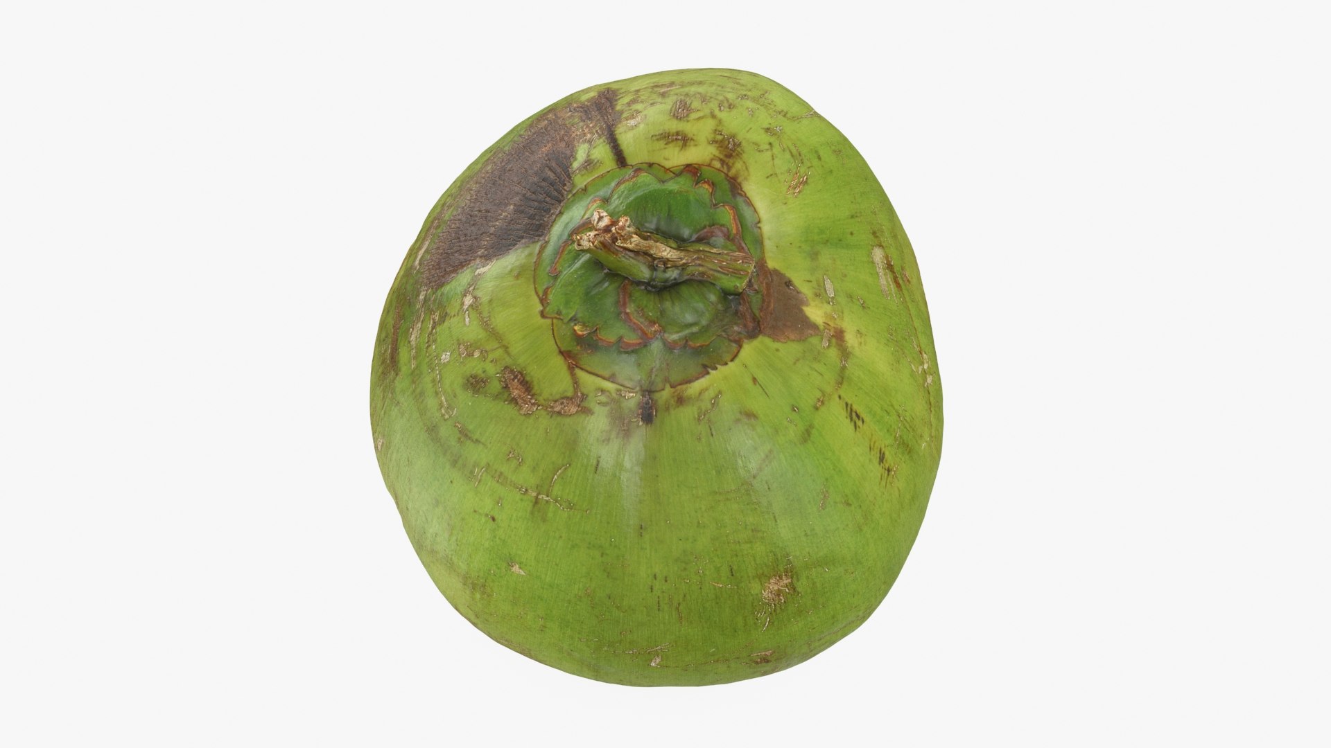 3D Green Coconut 01 https://p.turbosquid.com/ts-thumb/R0/yE8i4a/vc/greencoconut1_b0002/jpg/1732184032/1920x1080/fit_q87/b192bc01a130e253b5575008d945d4c24b863561/greencoconut1_b0002.jpg