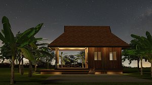 Tropical building projects