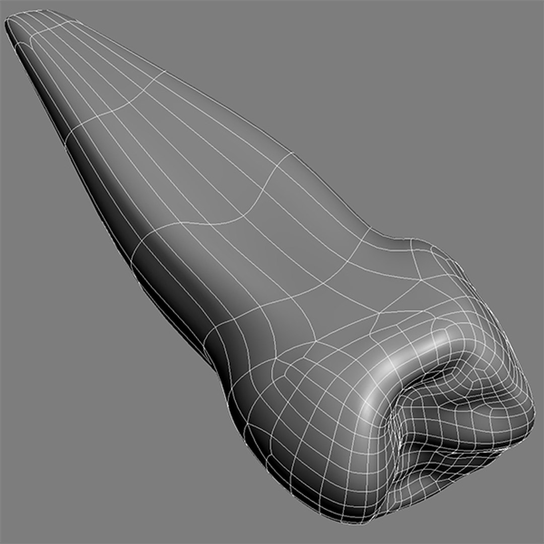 realistic teeth gums tongue max https://p.turbosquid.com/ts-thumb/R1/2M8Vpy/9dtmEZcZ/wire02/jpg/1401745689/1920x1080/fit_q87/b4157c4007a71007fe9be49ec66b6903644cd304/wire02.jpg