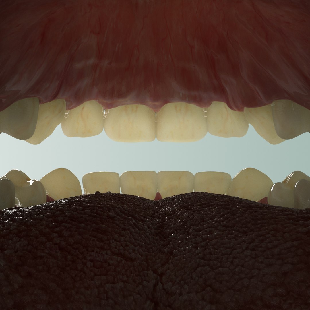 realistic teeth gums tongue max https://p.turbosquid.com/ts-thumb/R1/2M8Vpy/IwVBk6Ny/closeup_02/jpg/1401745689/1920x1080/fit_q87/99453927ff8e262f4895f0a89e2b48a07f393952/closeup_02.jpg