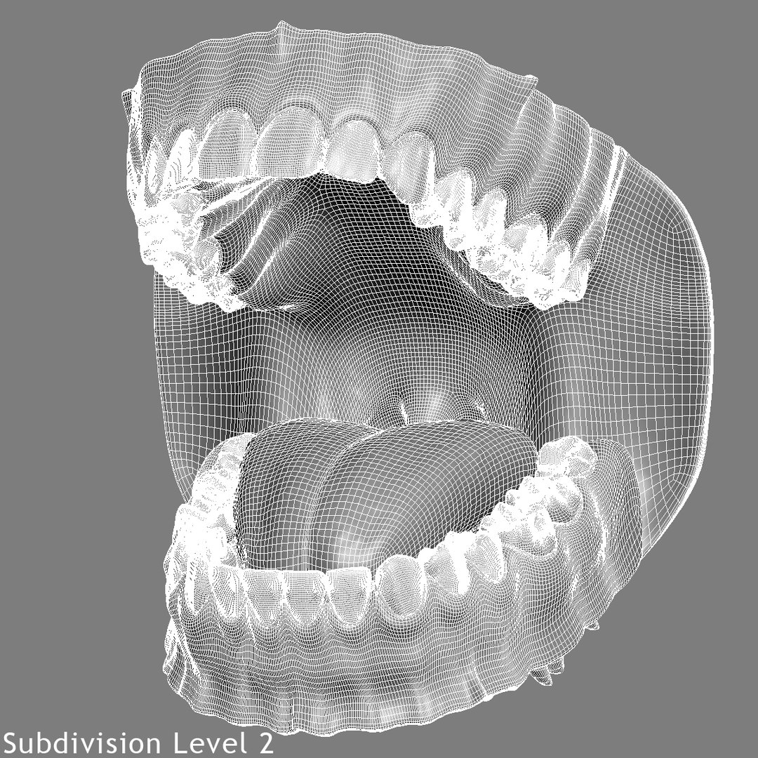 realistic teeth gums tongue max https://p.turbosquid.com/ts-thumb/R1/2M8Vpy/PxcDX6Yk/subdivisionlevel2/jpg/1401745689/1920x1080/fit_q87/a73cd9002be7ca85099750994028af44f760b7da/subdivisionlevel2.jpg
